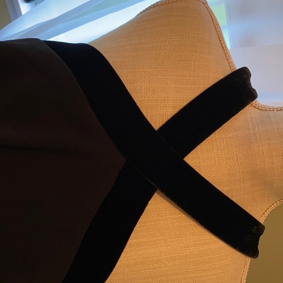 Beautiful Ann Taylor dress with black velvet trim. Size 10 - Picture 5 of 5